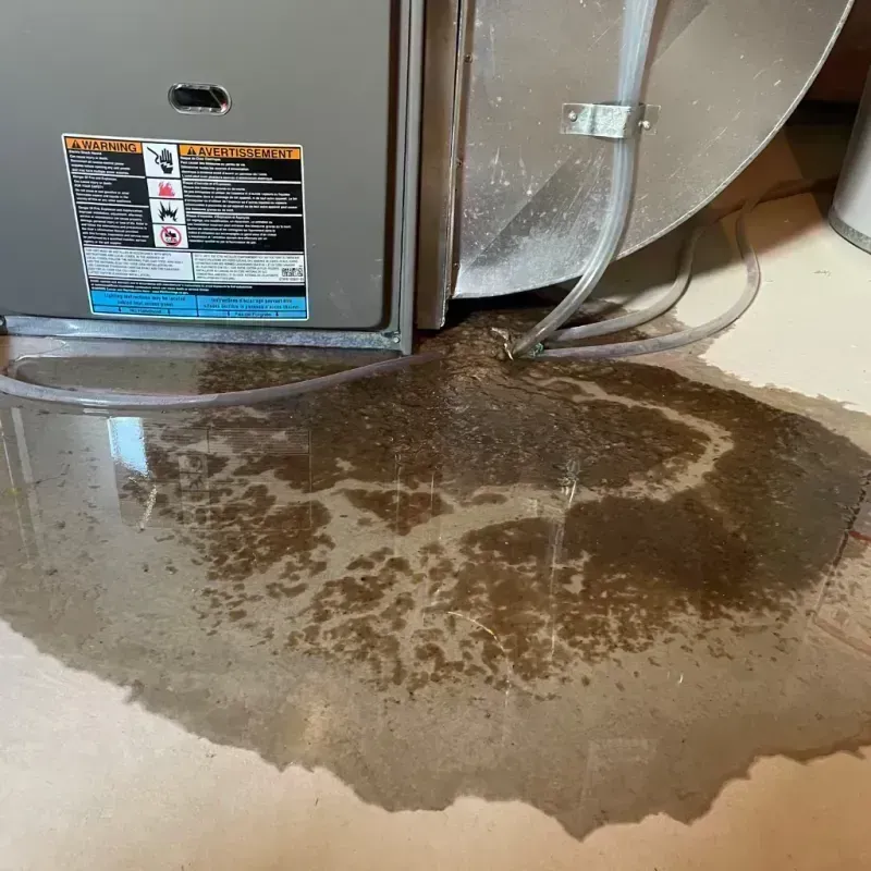 Appliance Leak Cleanup in Cedar Hill, MO